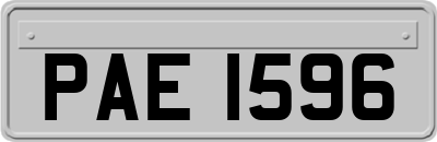 PAE1596