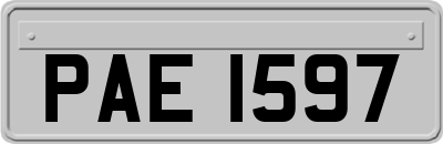 PAE1597
