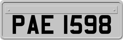 PAE1598