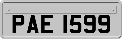 PAE1599