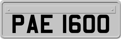 PAE1600