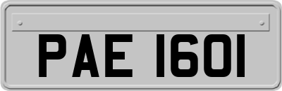 PAE1601