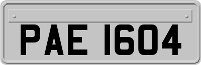 PAE1604