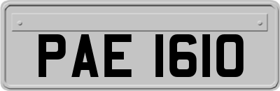 PAE1610