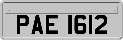 PAE1612