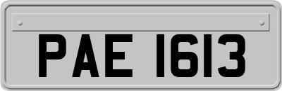 PAE1613