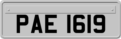 PAE1619