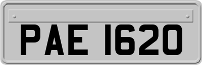 PAE1620