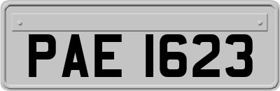 PAE1623