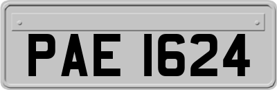 PAE1624