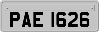 PAE1626