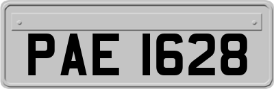 PAE1628