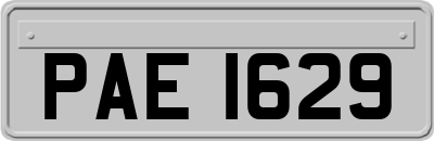 PAE1629