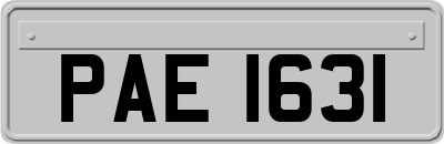 PAE1631