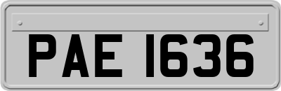 PAE1636