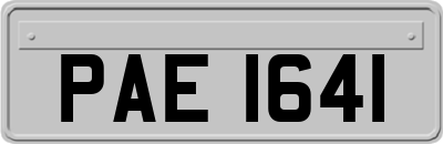 PAE1641