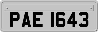 PAE1643