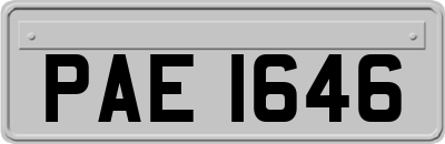 PAE1646