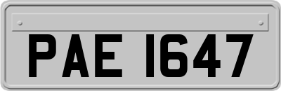 PAE1647