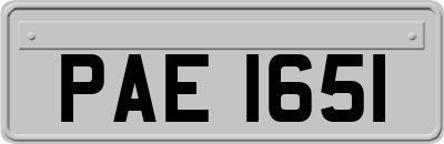 PAE1651