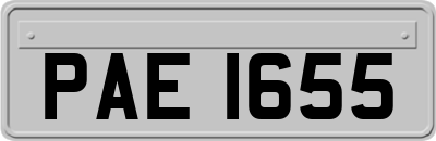 PAE1655