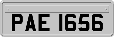PAE1656