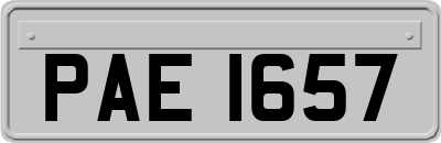 PAE1657