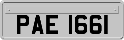 PAE1661