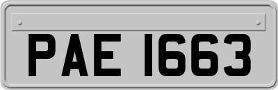 PAE1663