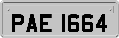 PAE1664