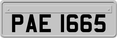 PAE1665