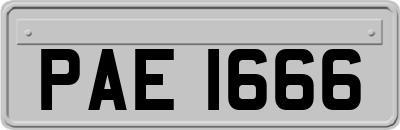 PAE1666