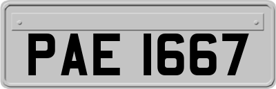 PAE1667