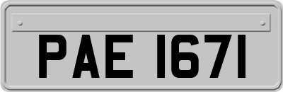 PAE1671