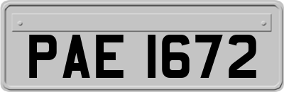 PAE1672
