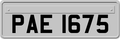 PAE1675