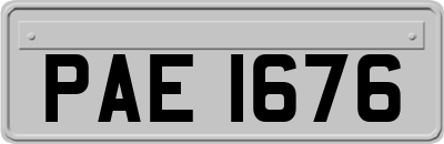 PAE1676