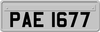 PAE1677