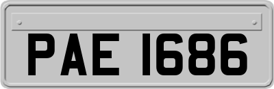 PAE1686