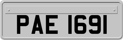 PAE1691