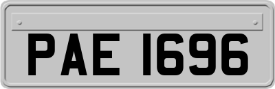 PAE1696