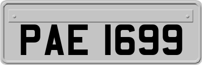 PAE1699