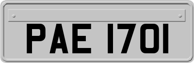 PAE1701