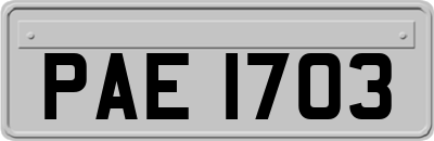 PAE1703