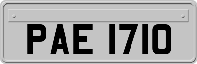 PAE1710