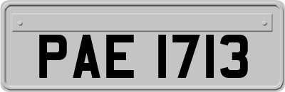 PAE1713