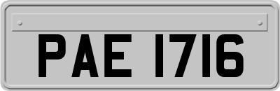PAE1716