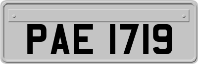 PAE1719