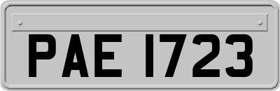 PAE1723