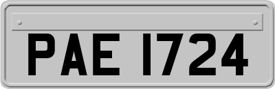 PAE1724
